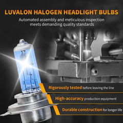 LUVALON 9003/H4 blue-coated glass close-up improves clarity and reduces yellow tint