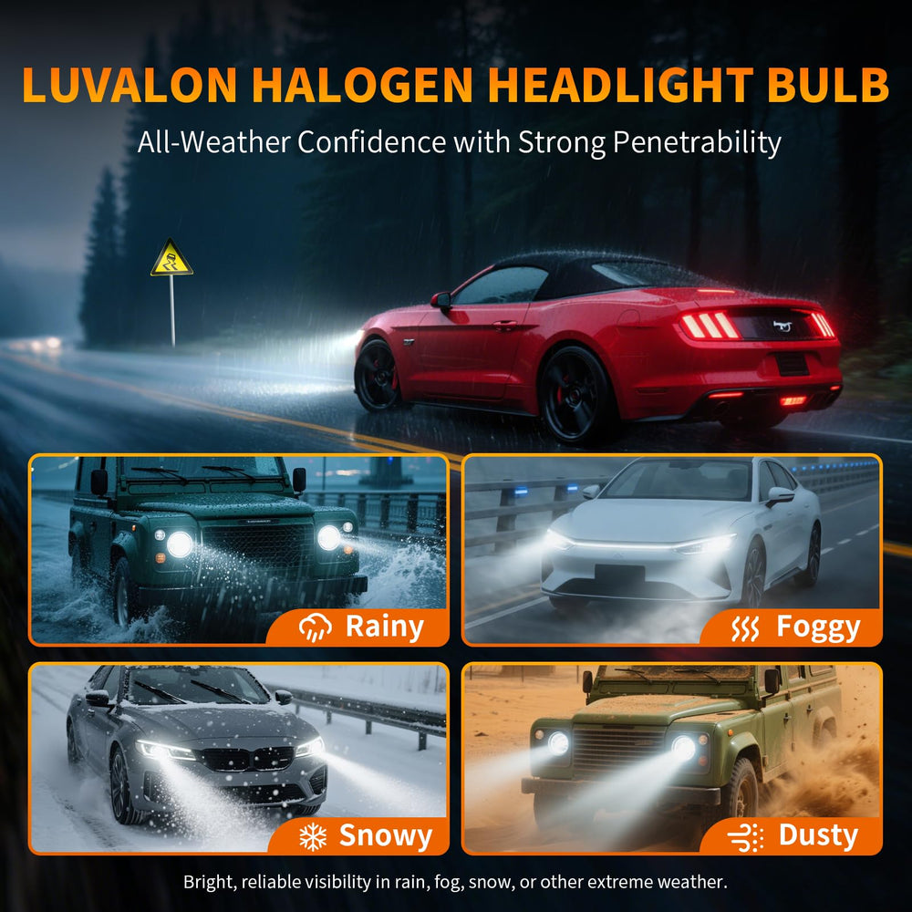 LUVALON 9003/H4 Sequoia and CR-V compatibility for confident fit