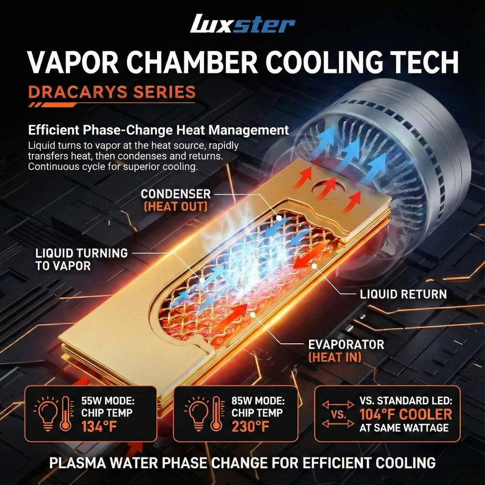 LUXSTER Dracarys 6500K xenon white beam for crisp nighttime contrast.