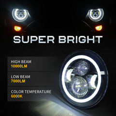 LX-LIGHT headlight kit with plug-and-play adapters included for easy installation.