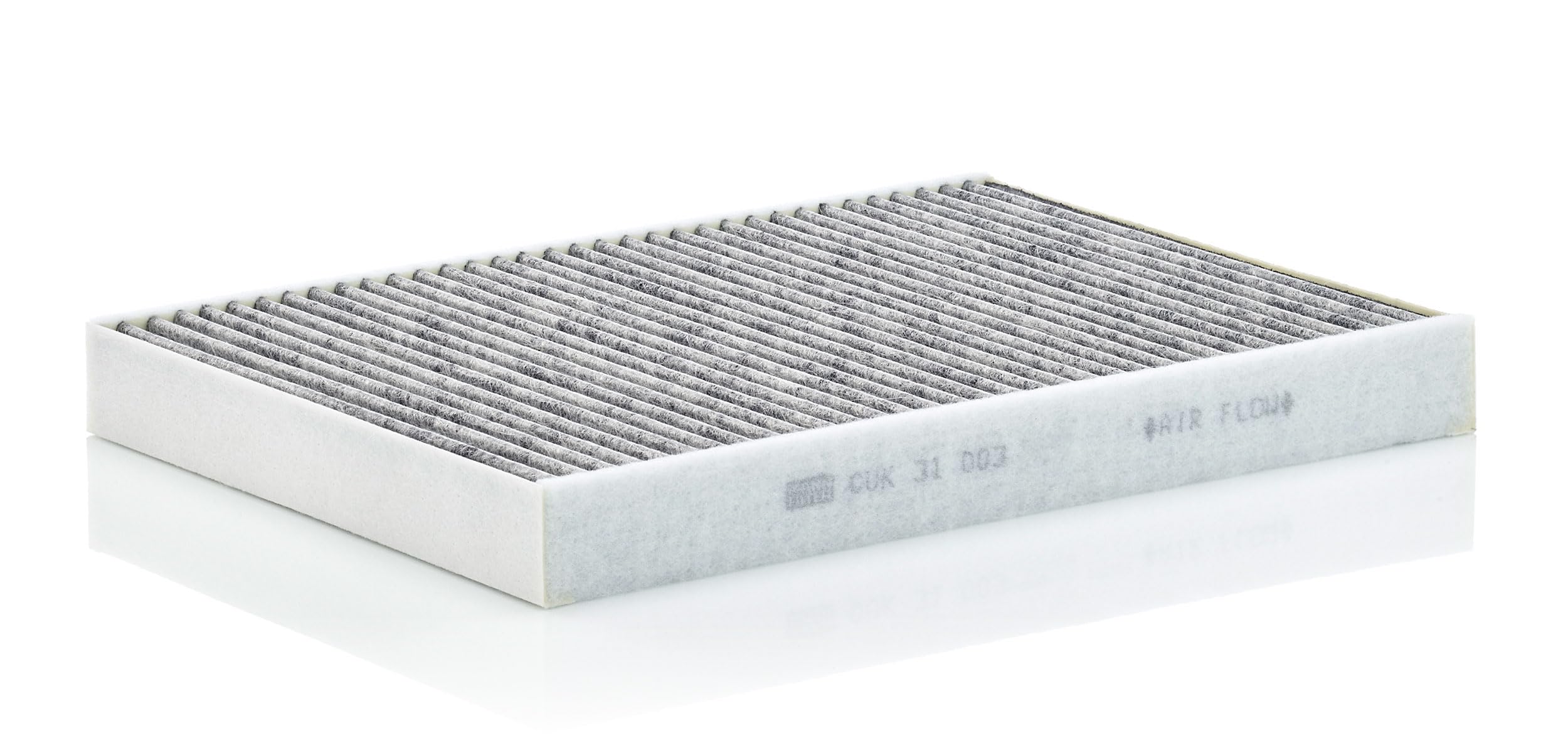 Cross-section view showing dual-layer filter media for dust and pollen capture.
