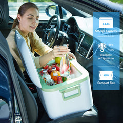 Megiu 12V portable refrigerator interior basket helps organize snacks on road trips.