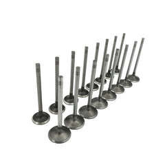 Mievlyo exhaust valve supports steady exhaust flow