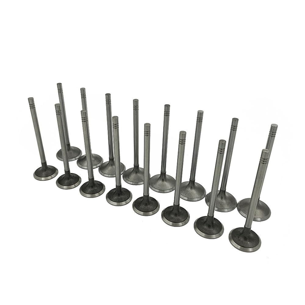 Mievlyo intake valve designed for efficient air entry