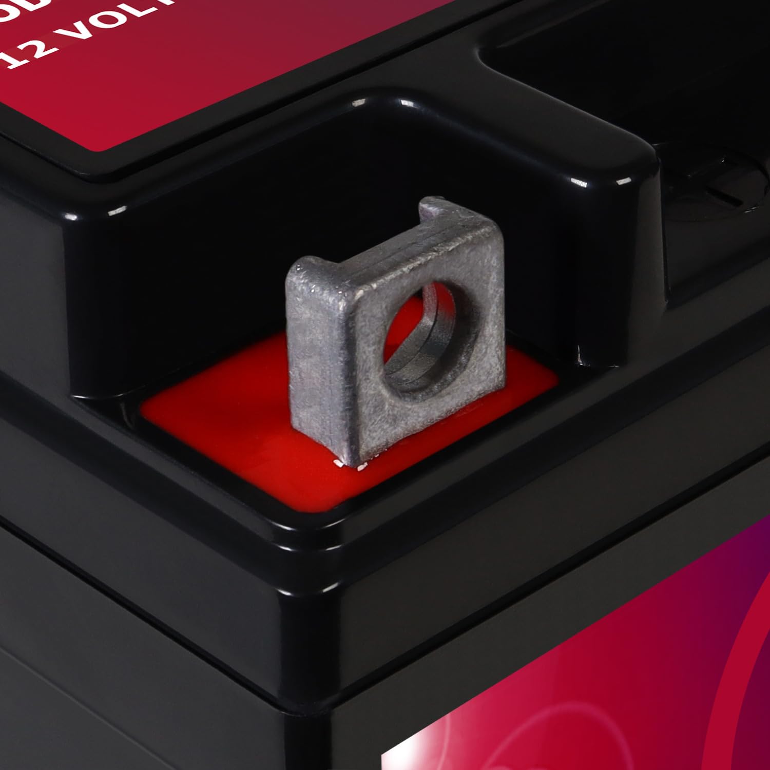 Mighty Max Battery YTX6.5L-BS warranty badge confirms one-year coverage