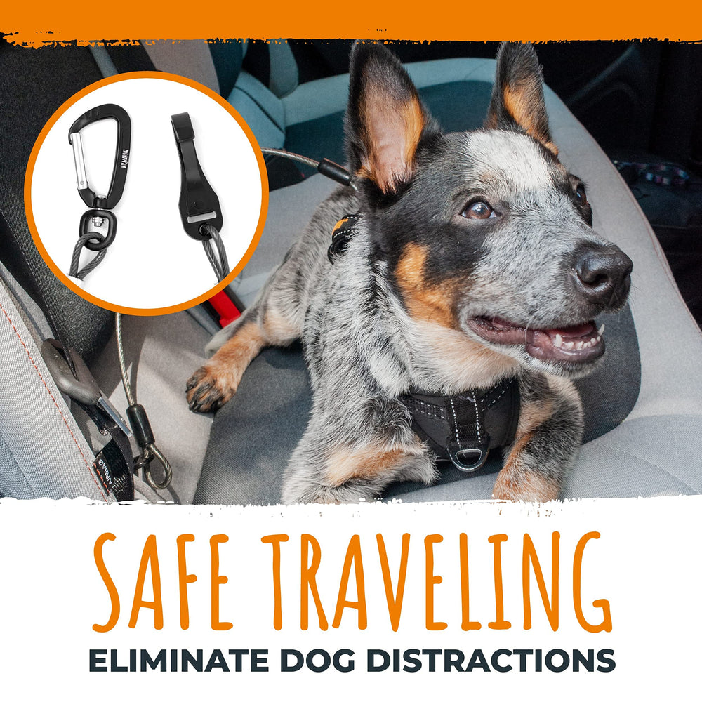 Mighty Paw dog seat belt demonstrates 850+ lb capacity for safety