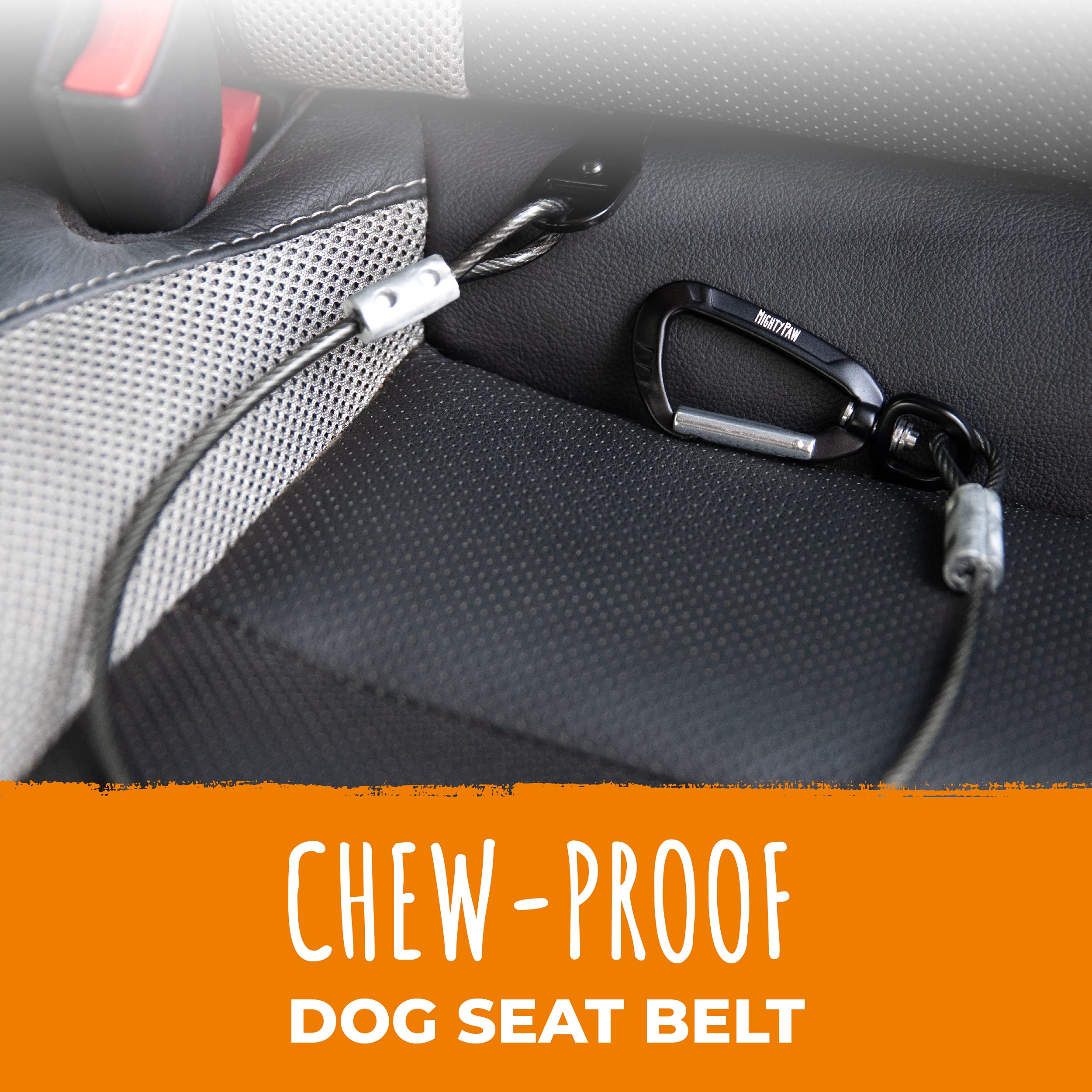 Mighty Paw dog seat belt latch-bar attachment demonstrates secure installation