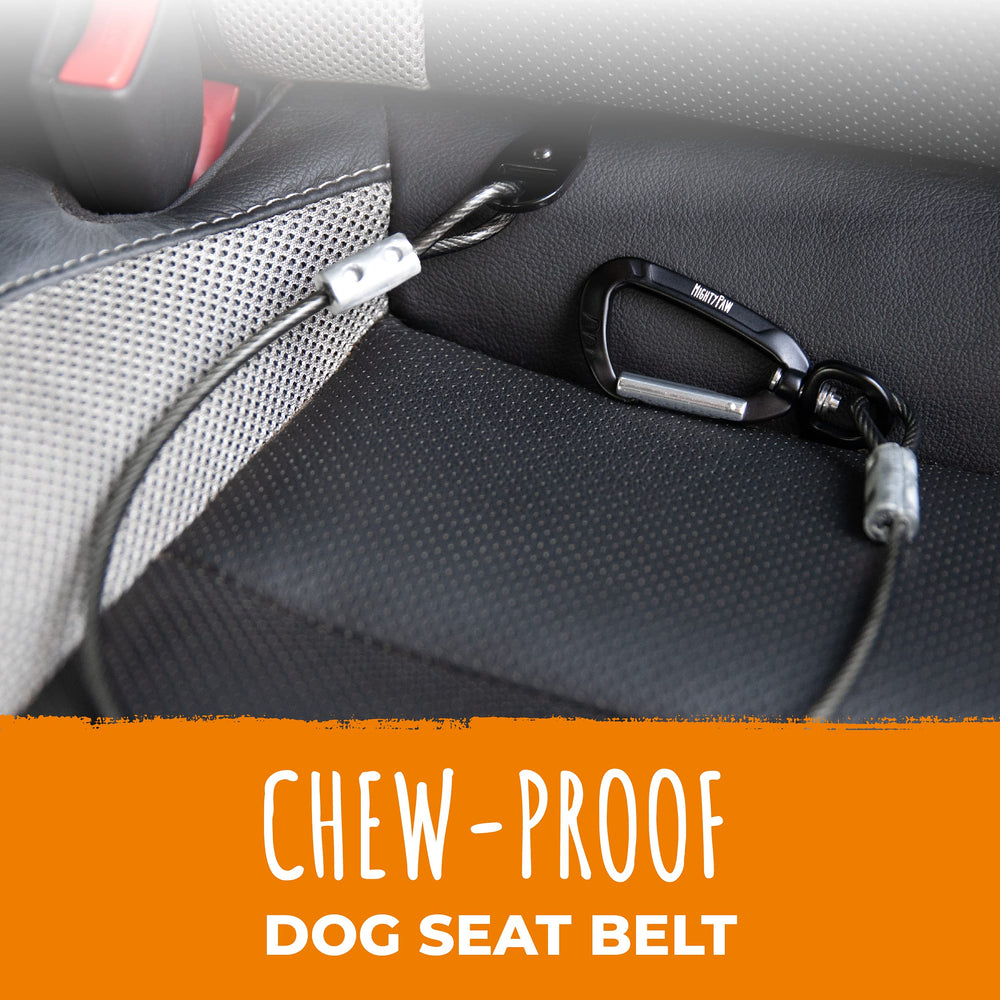 Mighty Paw dog seat belt latch-bar attachment demonstrates secure installation