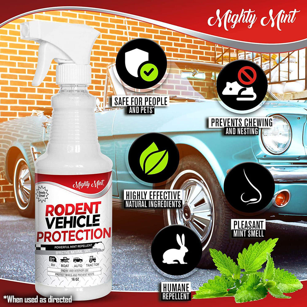Mighty Mint spray in trunk deters rodents from wiring.