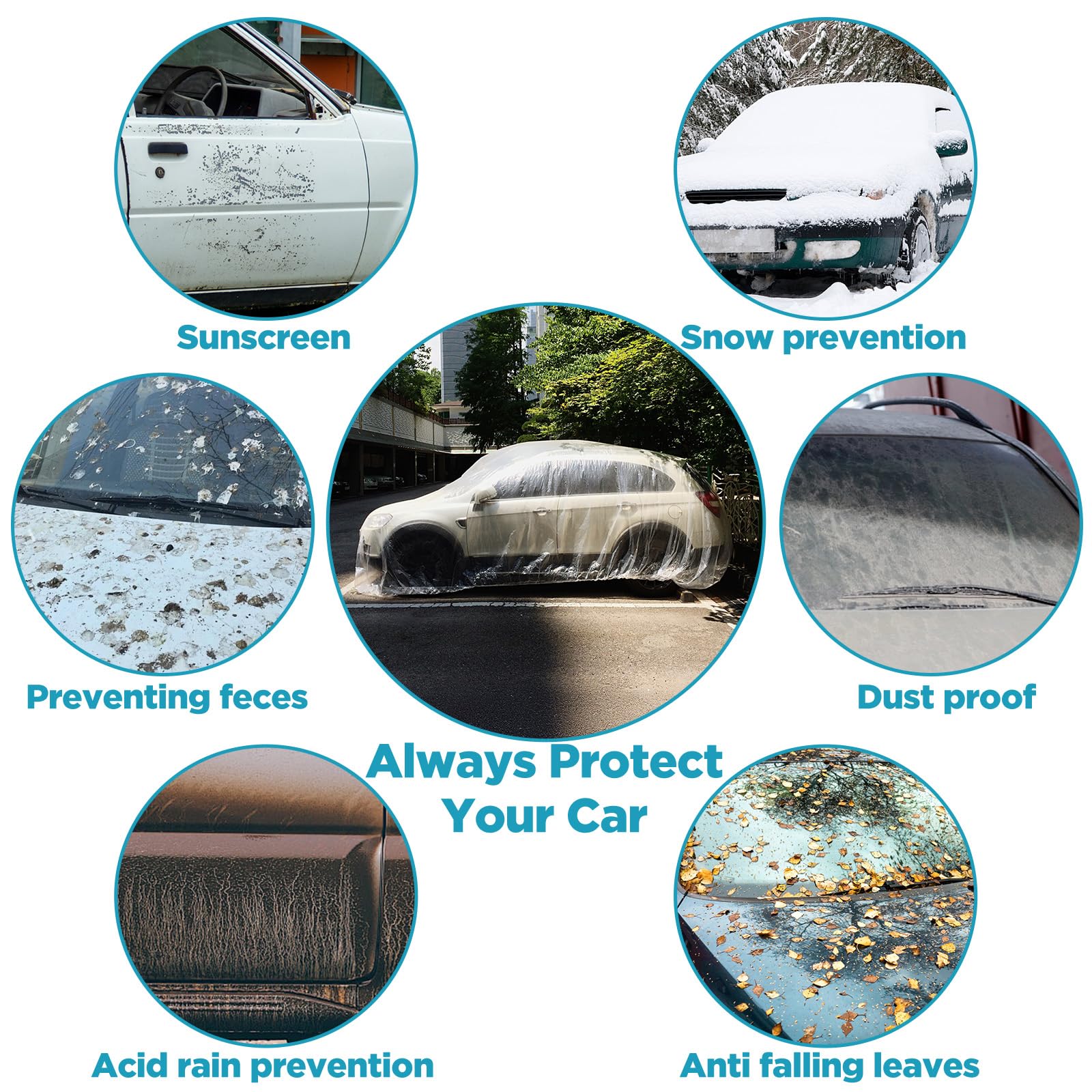 Molain quick-install clear cover lets you inspect the car without removal.