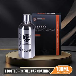 All-in-one car care with MolecuGard cleaning and protection