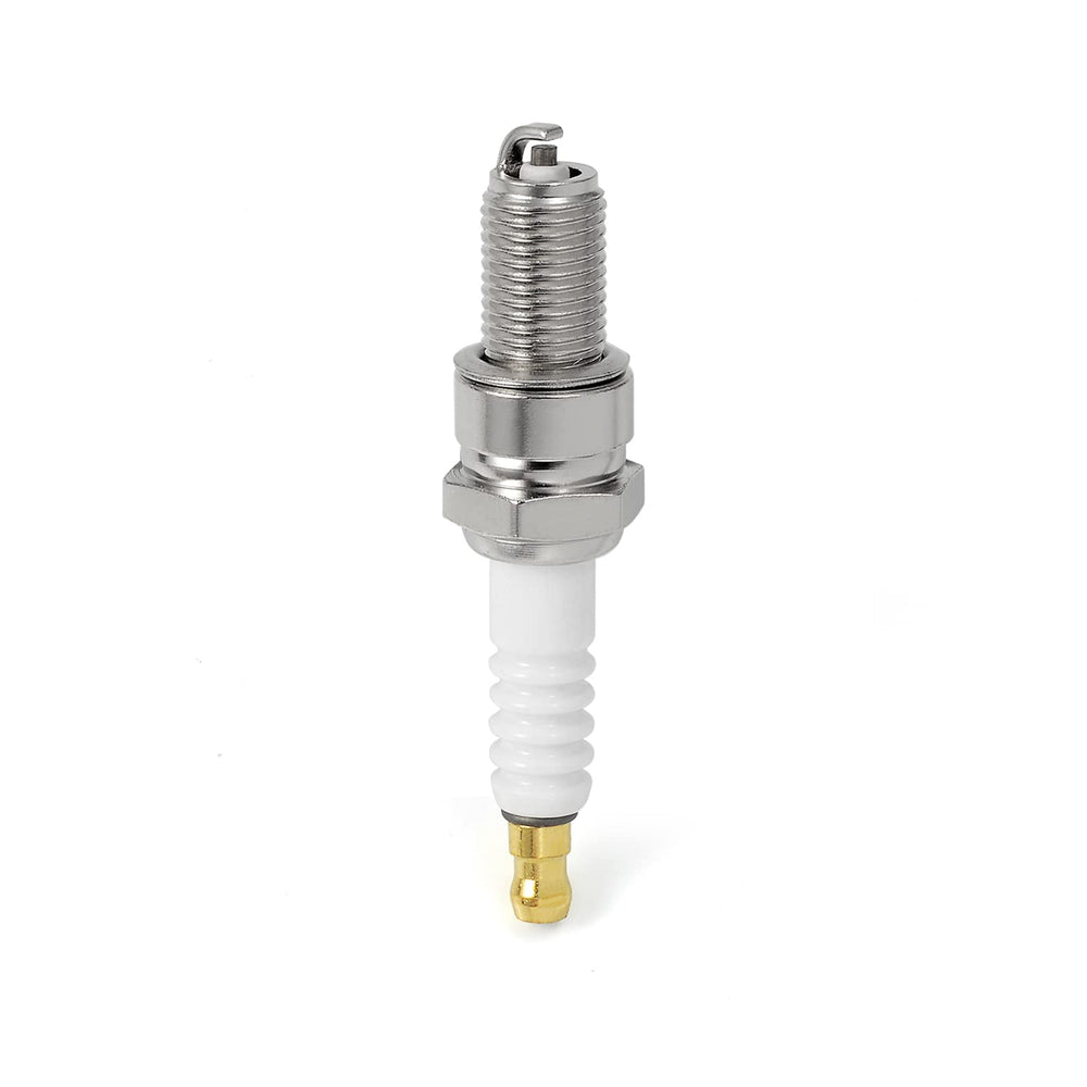 MOTO1988 spark plug included for Timberwolf – quick service ready.