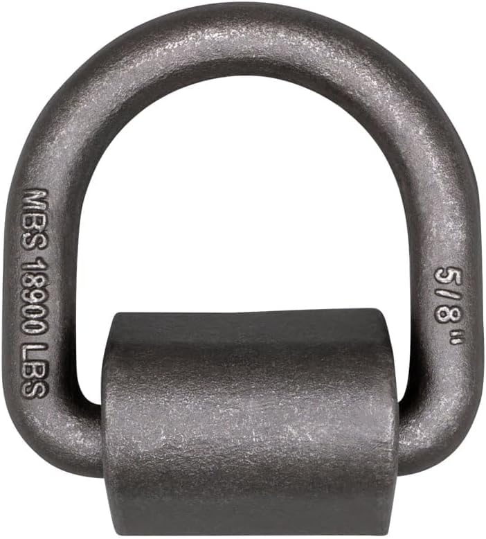 Mytee Products 5/8 inch D-ring shown with straps for secure securing.