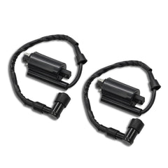Nakkaa AM120732 ignition coil pair for reliable spark and smoother starting.