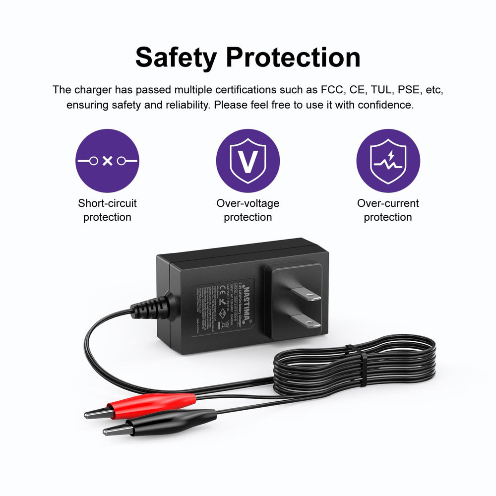 NASTIMA 6V LiFePO4 charger compact size fits in toolkits.