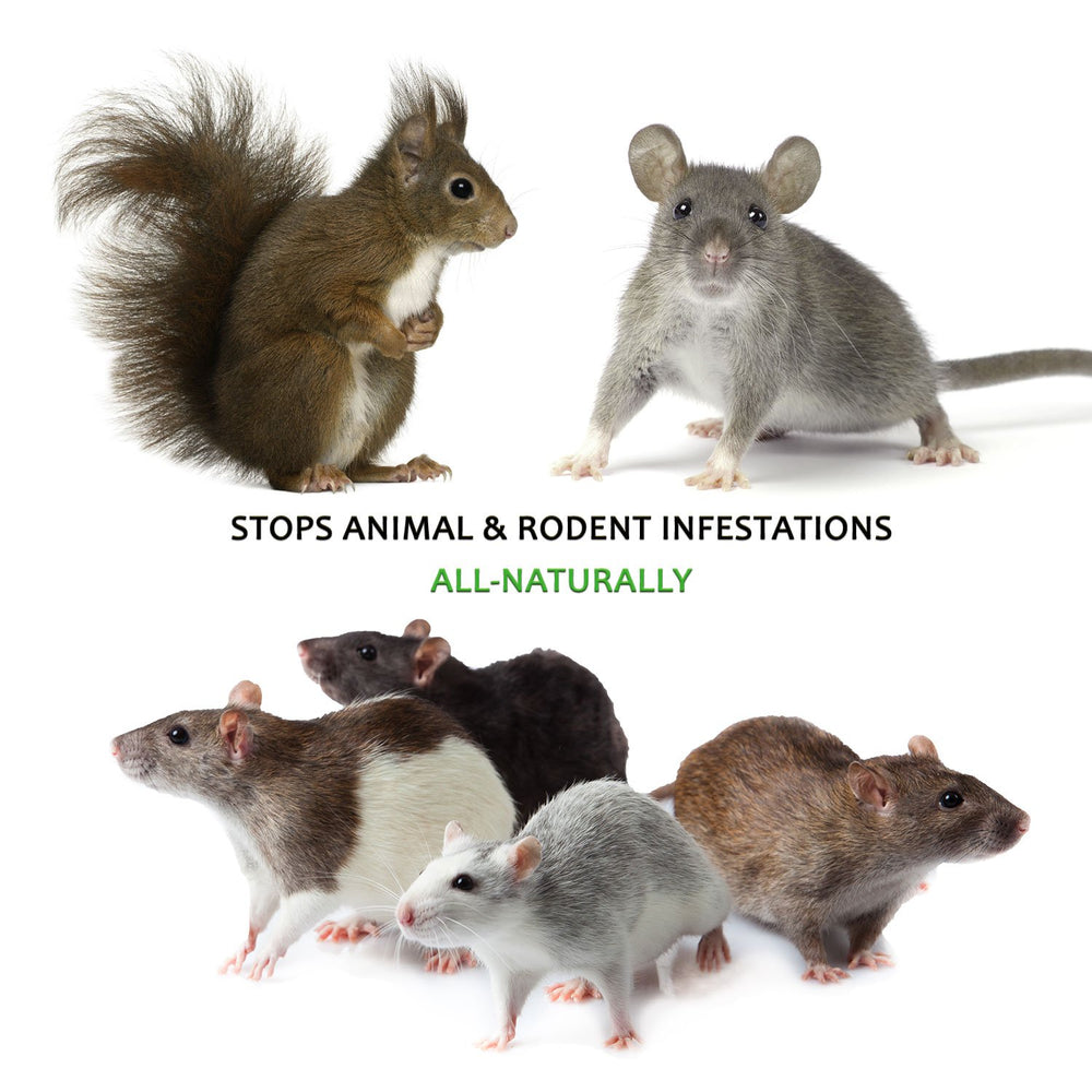 Natural Armor around wheel wells protects wiring from rodent damage.