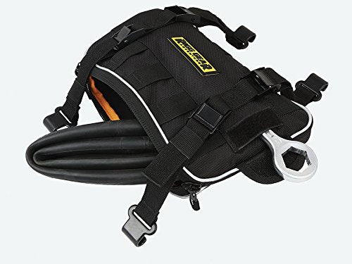 Nelson-Rigg fender bag strapped around fork tubes for stability