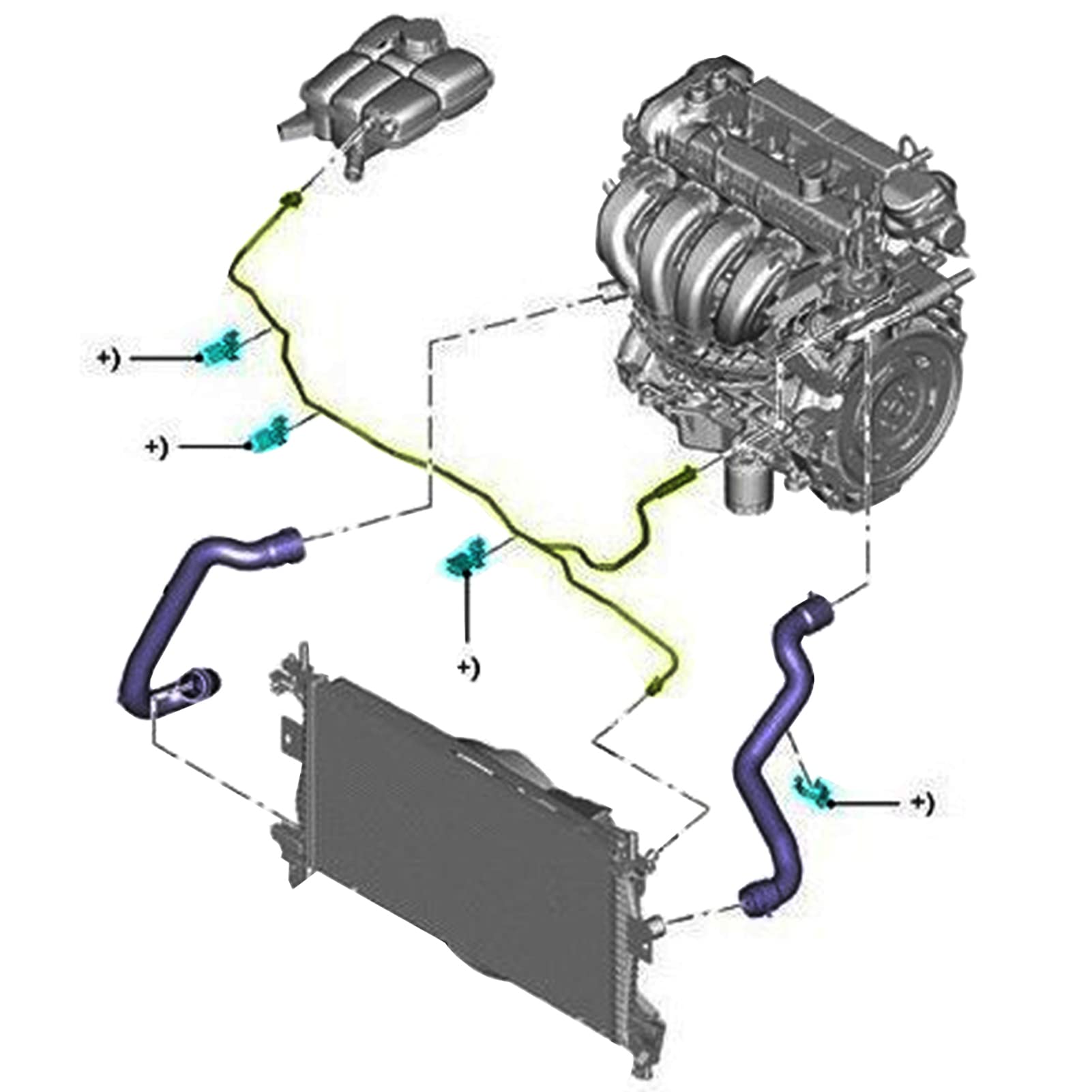 NOVINO focus cooling hose assembly for Ford Focus cooling system