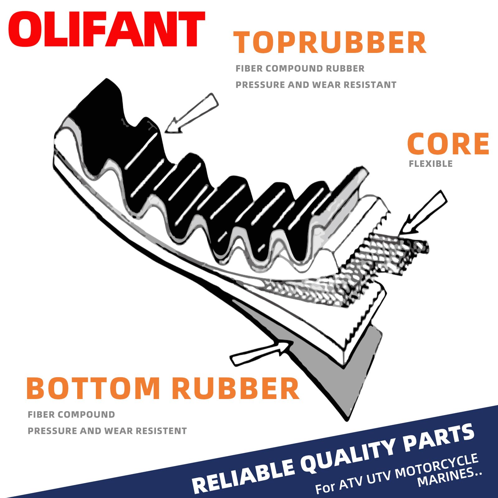 OLIFANT belt packaged set image, two belts ready for replacement.