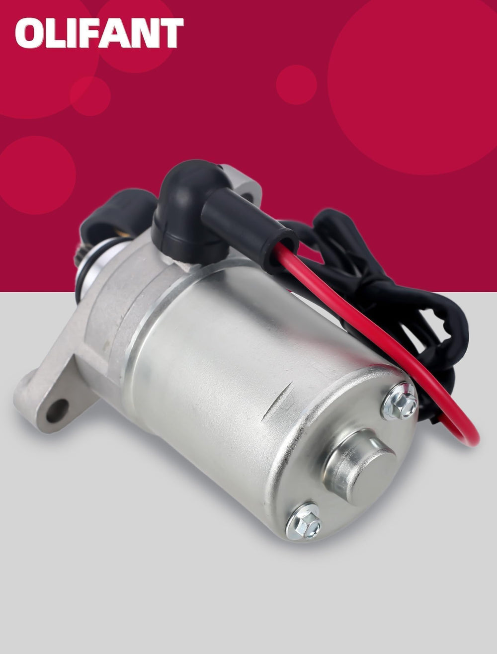 OLIFANT compatibility guide indicates mopeds compatibility with kit
