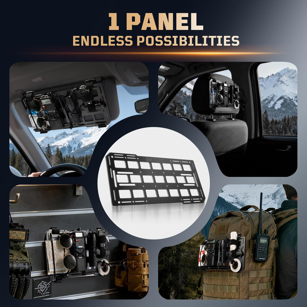 ONETIGRIS overhead EDC storage in a vehicle cabin