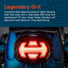 ONLINE LED STORE True Mods LED tail light uses diffusion lens for even brightness.