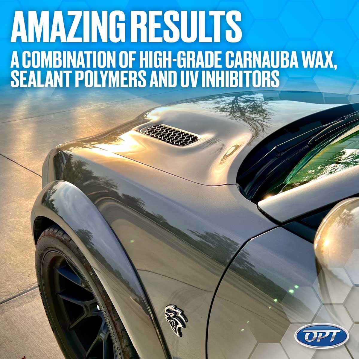 Optimum Car Wax water beading shows a hydrophobic finish.