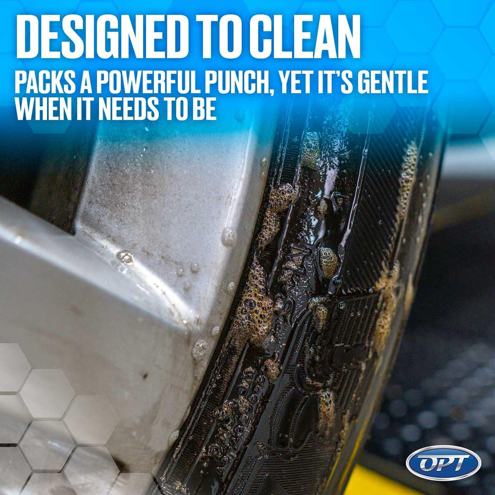 Car exterior treated with Power Clean for bug and tar removal.