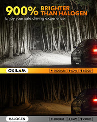 OXILAM Q36 H11 9005 LED beam pattern highlighting wide illumination