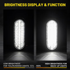Oyviny 6-inch oval LED trailer light rear view showing 24 LEDs for clear reverse signals.