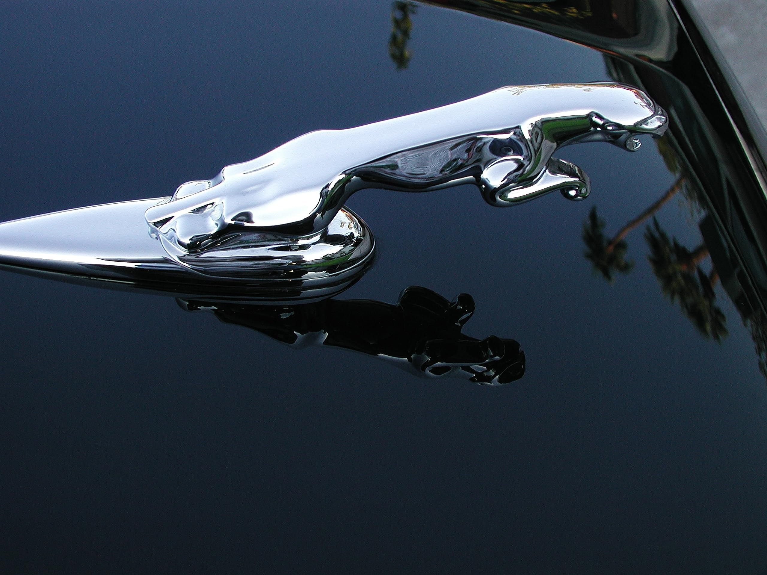 P21S 12700W carnauba wax gloss panel demonstrates jetness and mirror shine.