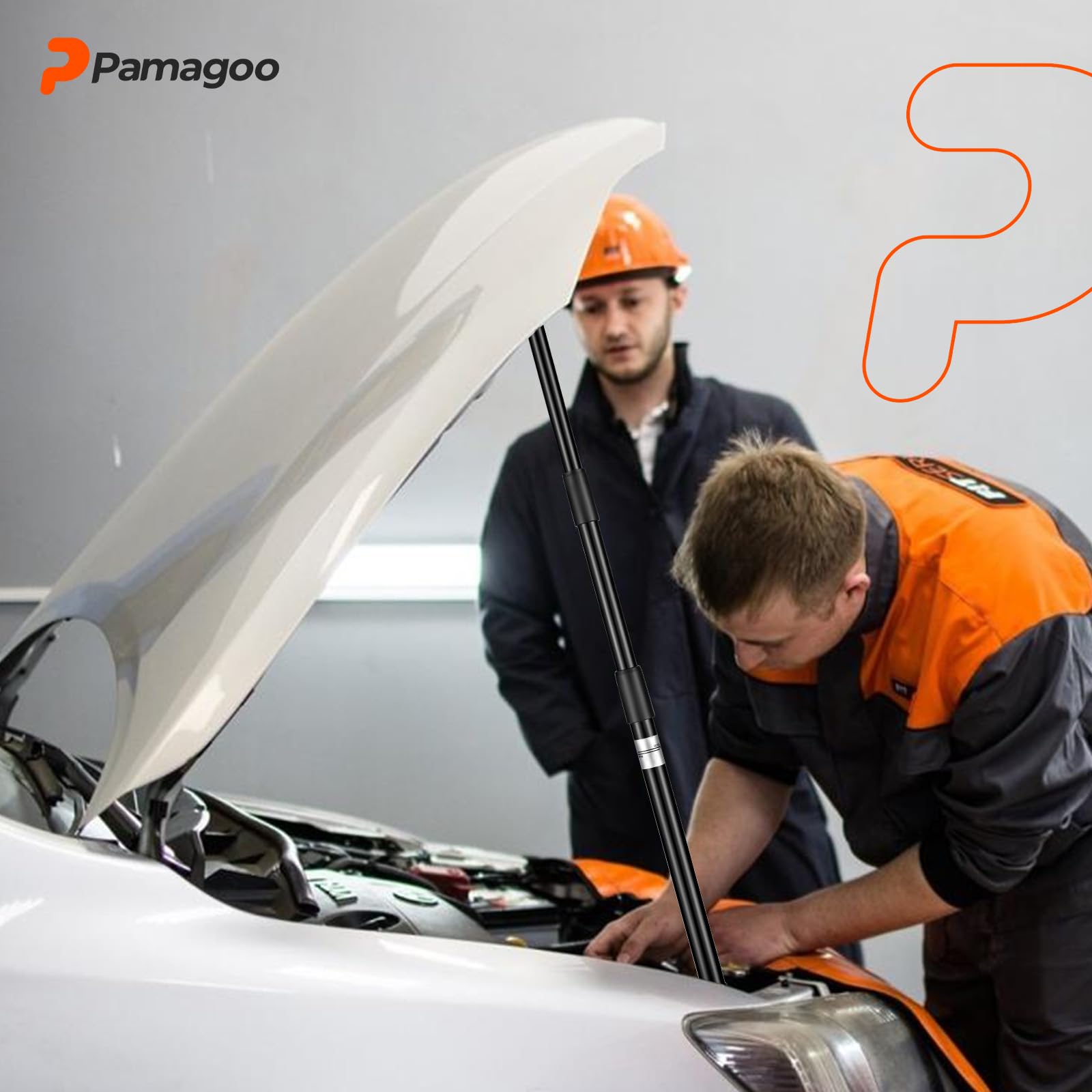 PAMAGOO care includes online guidance and 12 months of support