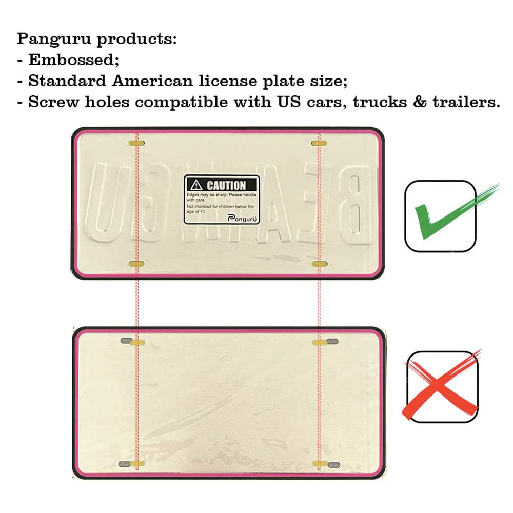Panguru plate with four pre-drilled holes for mounting.