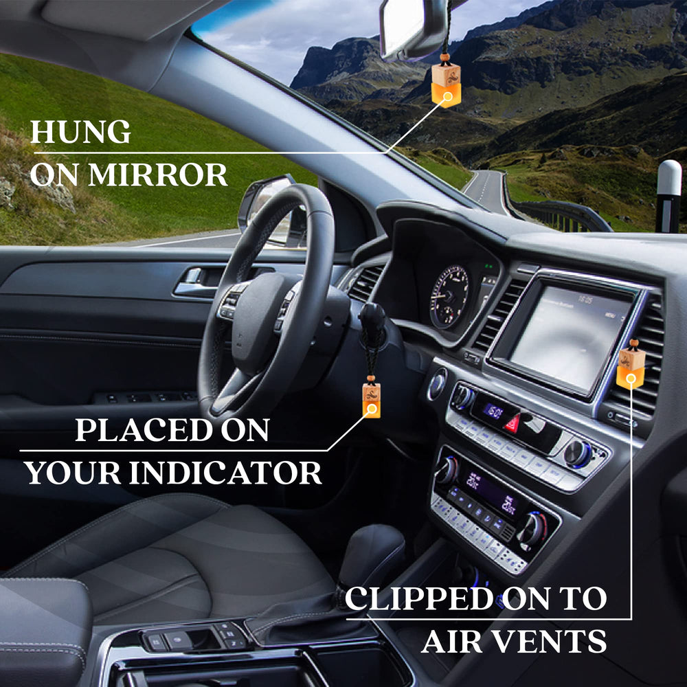 Premium packaging reinforces Perfa One Million as a premium car fragrance.