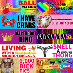 PREJOY prank magnet rainbow sticker for car decoration and playful flair.