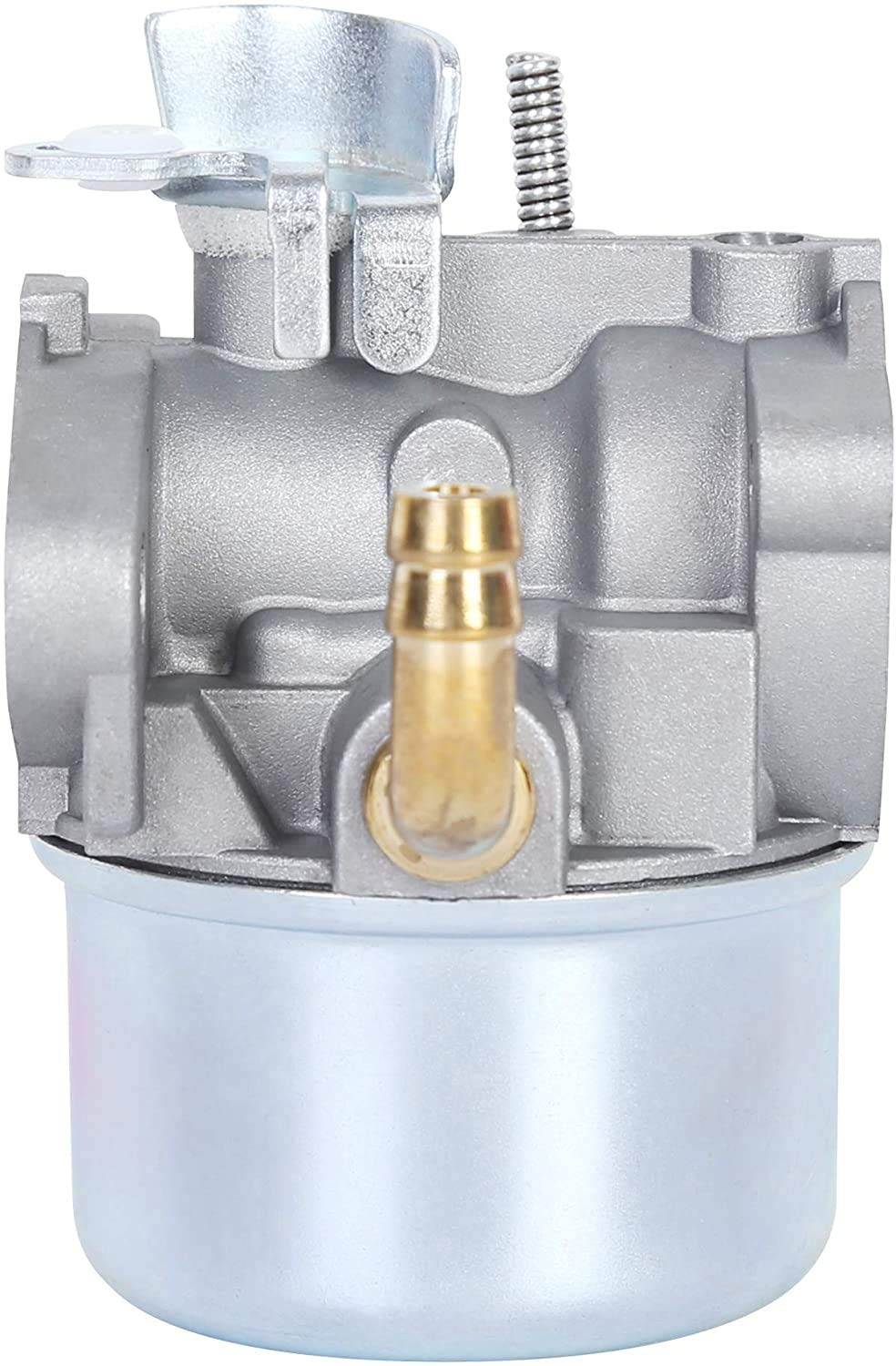 Pro Chaser Briggs & Stratton Nikki compatibility for hassle-free replacement