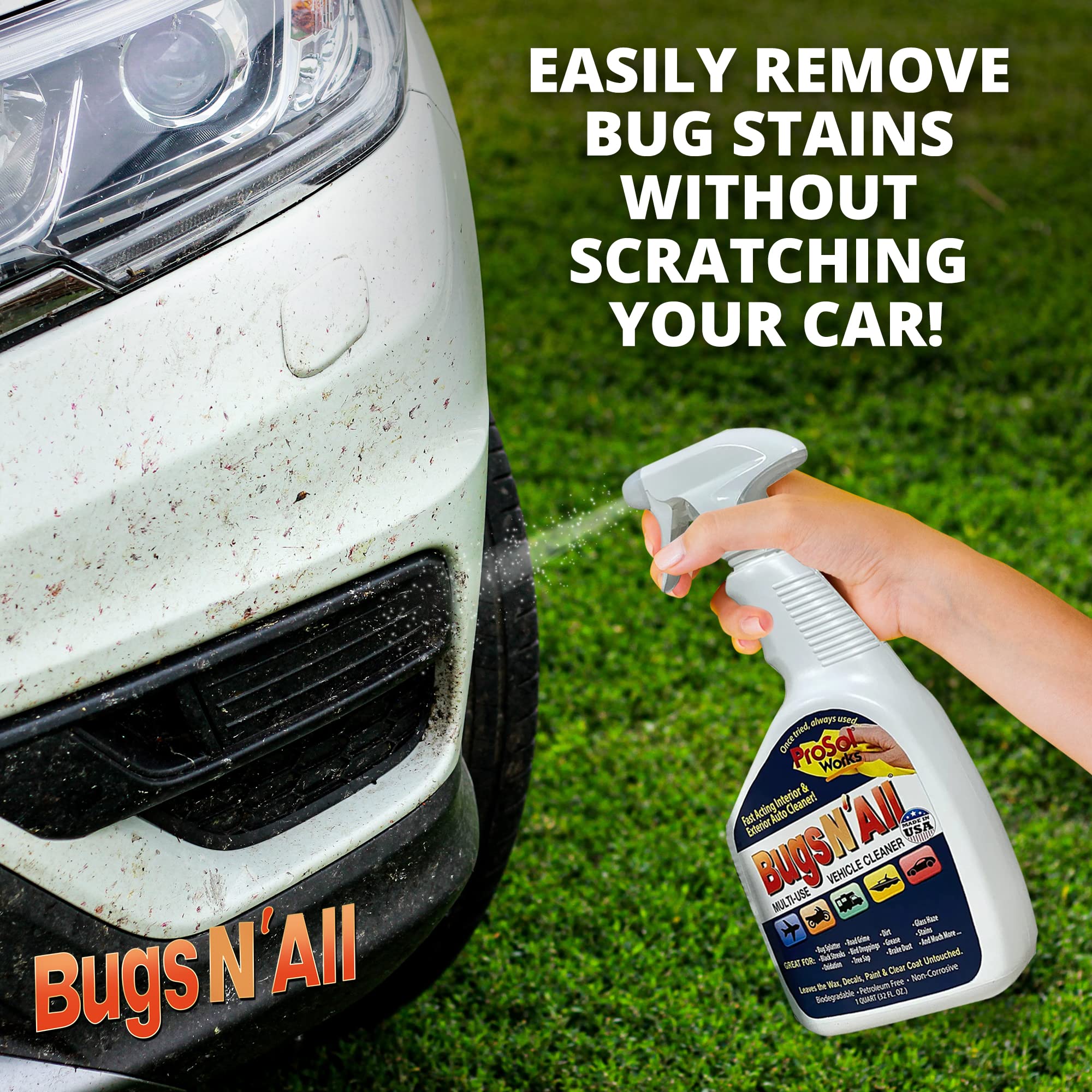 PROSOL WORKS Bugs N’ All windows-mirrors-cleaning on glass surfaces.