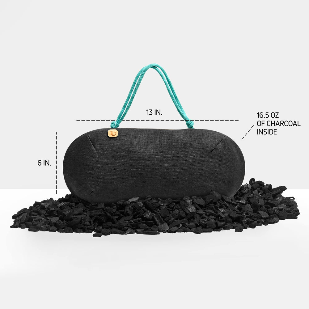 PURGGO bamboo charcoal odor absorption panel demonstrates deodorization
