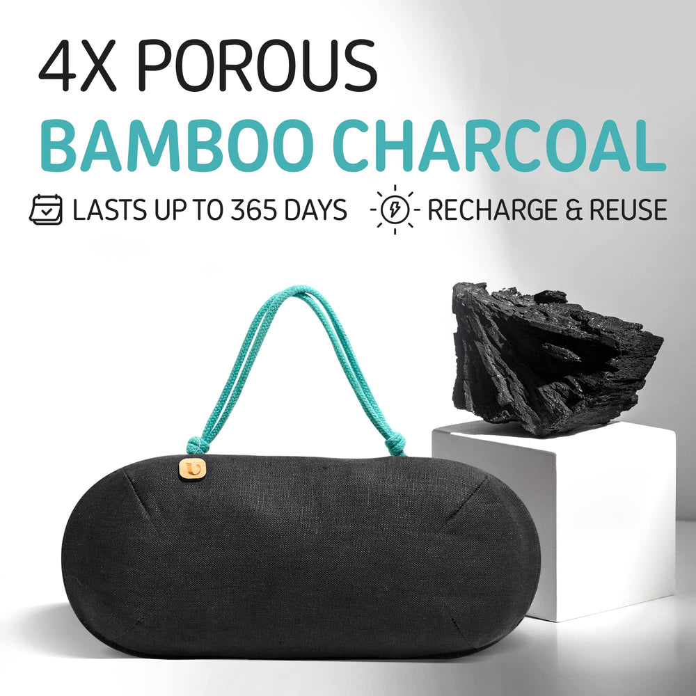 PURGGO fragrance-free deodorizer keeps car smelling fresh without scents