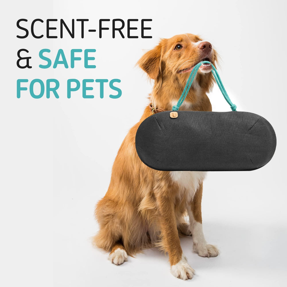 PURGGO fragrance-free deodorizer works without added scent or chemicals.