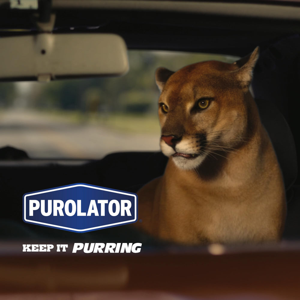 PurolatorBOSS premium gasket ensures leak-tight seal during operation.