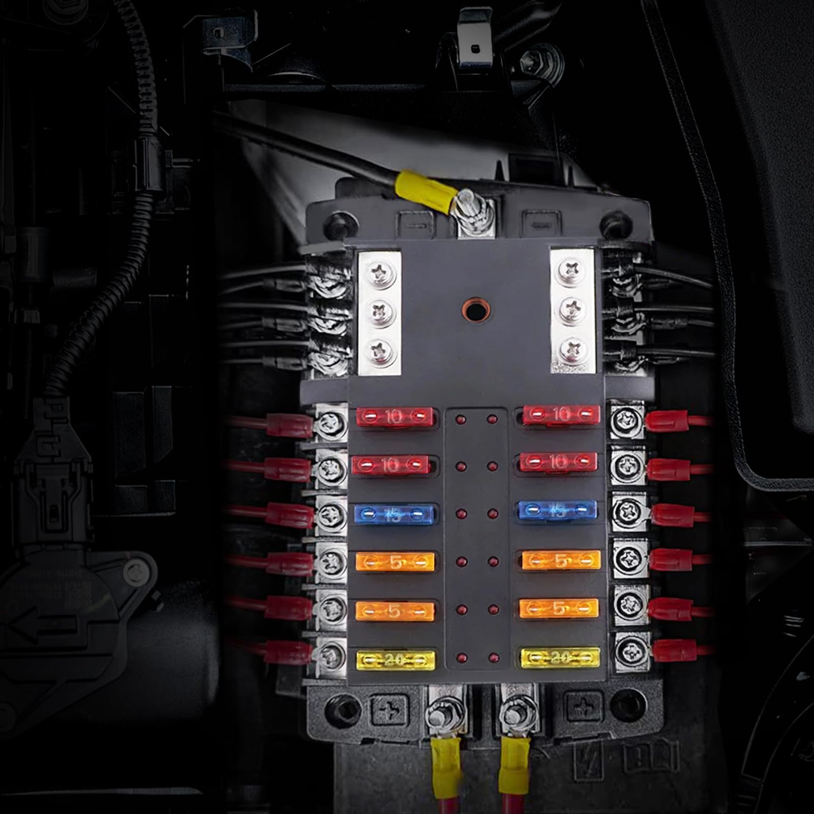 Qidoe 12-circuit layout organized for straightforward wiring.
