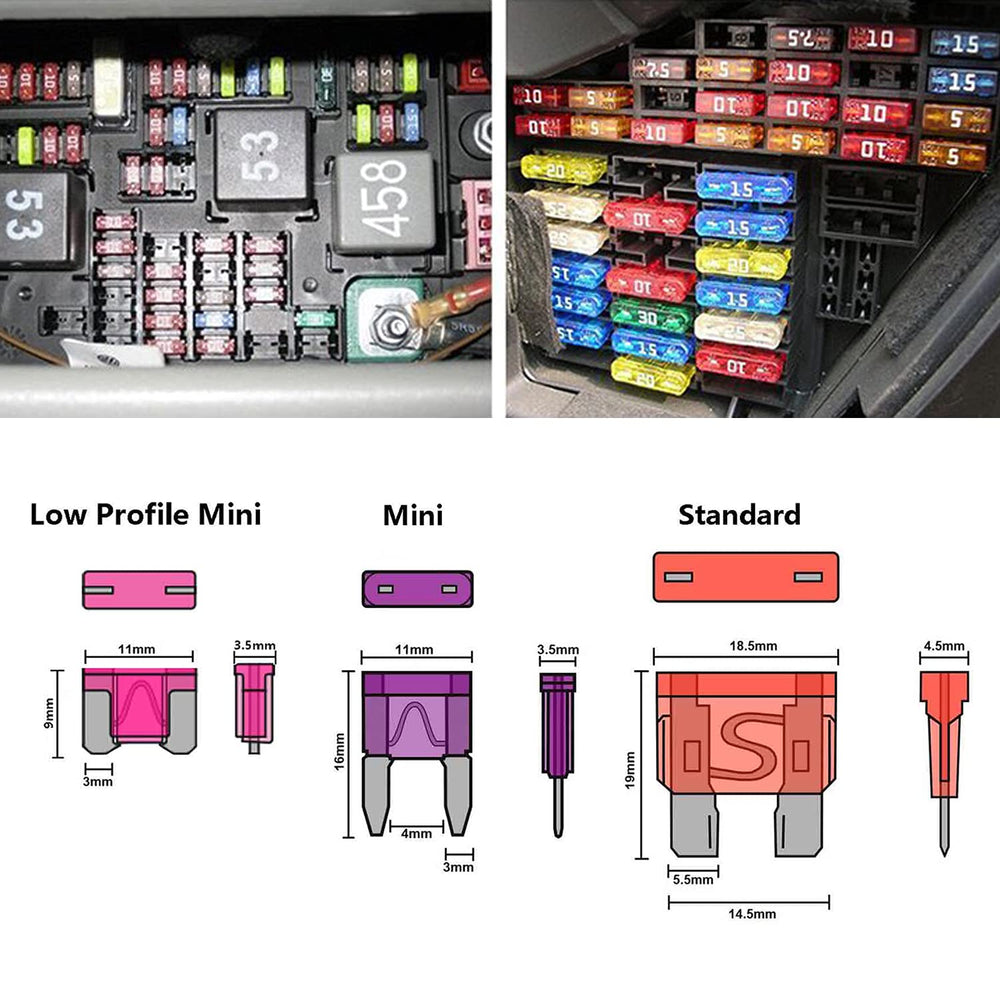 Qizpcer blade fuses color-coded by amperage for fast identification