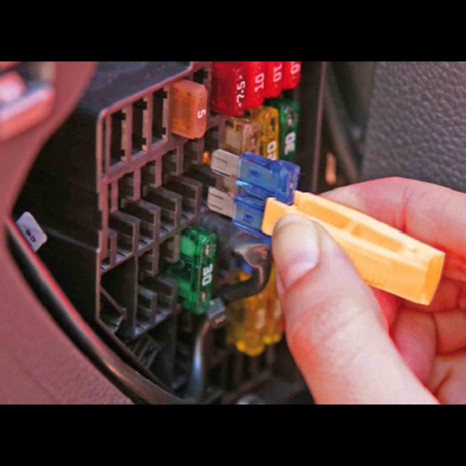 Qizpcer compact storage case keeps fuses organized and accessible