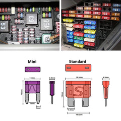 Qizpcer standard and mini fuses offer versatile automotive protection