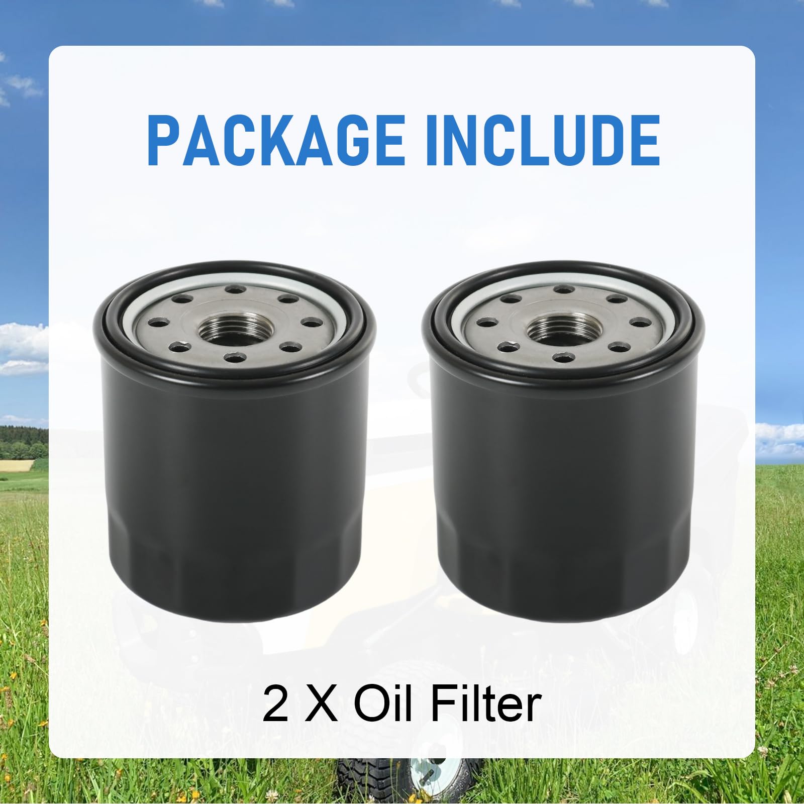 RADHLBNIU oil filter 2-pack filtration core close-up emphasizes filtration material.