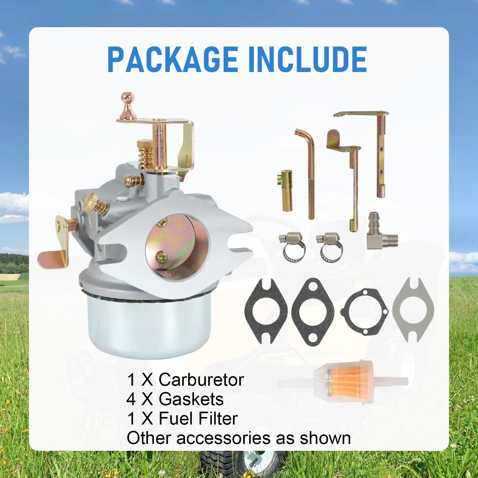 RADHLBNIU carburetor kit with gaskets and fuel filter visual, ready for install
