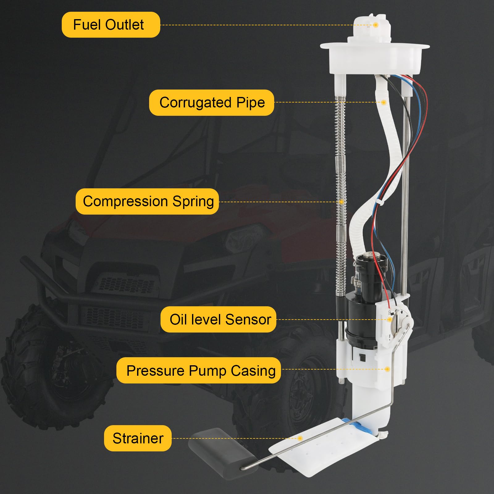 RALZAOTO packaging and warranty card underscoring confidence and support.