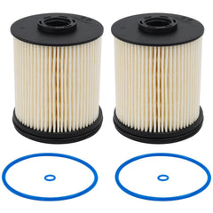 RARAYC TP1015 fuel filter, front view, engineered for clean fuel delivery