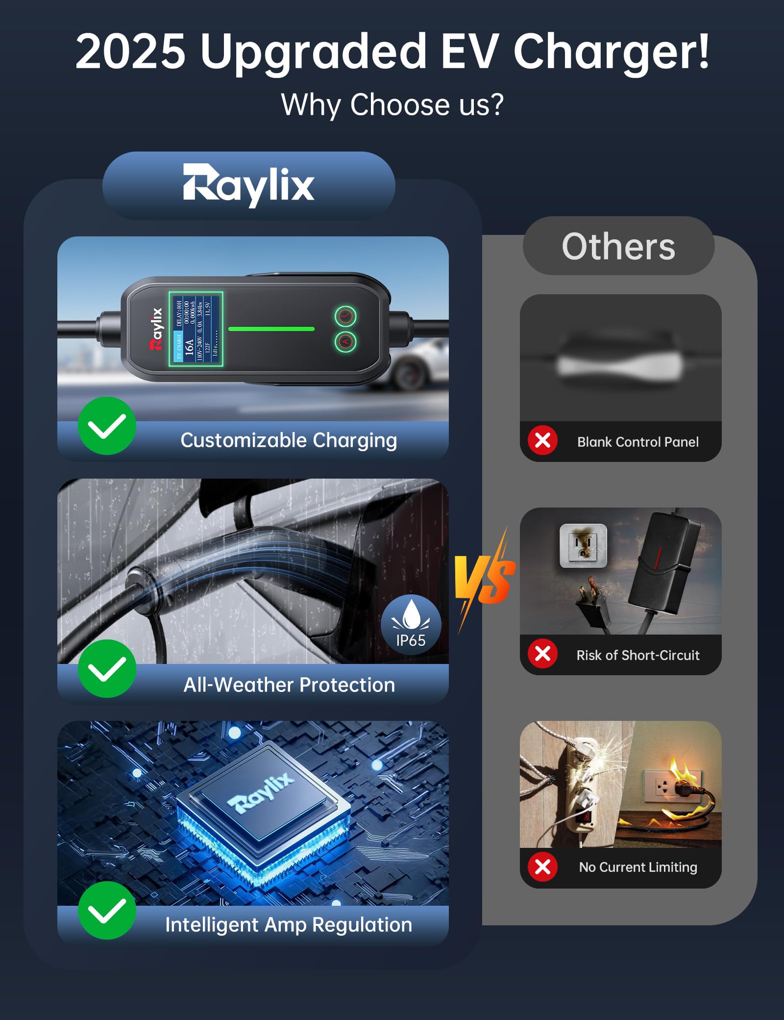 Raylix plug options for 110-240V compatibility on trips